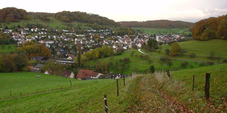 Blick von der Schweizer Grenze auf Inzlingen