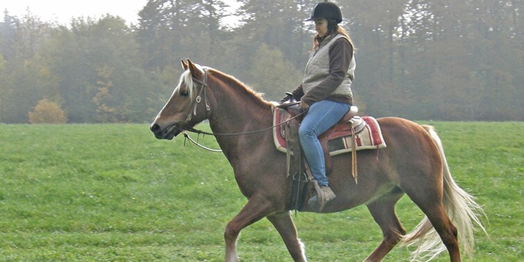 Reiten in Inzlingen